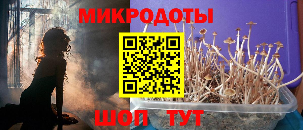 Псилоцибиновые грибы MAGIC MUSHROOMS  Вход с VPN  Славгород 